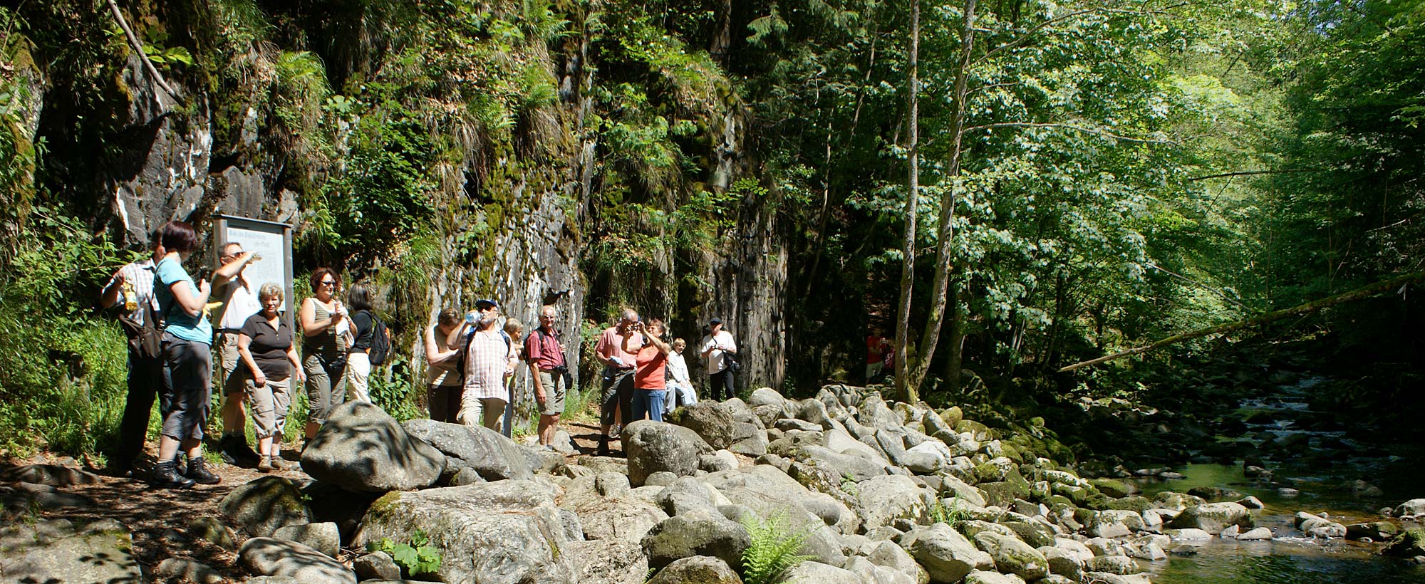 Wandergruppe im Bayerischen Wald, Bayern